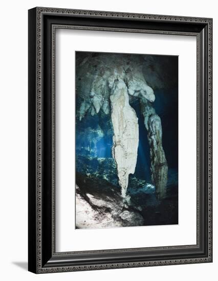 Stalactites in Gran Cenote, Tulum, Yucatan Peninsula, Mexico-Reinhard Dirscherl-Framed Photographic Print