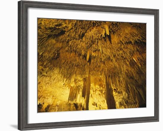 Stalactities on Ceiling of Damlatas Cavern-Murat Taner-Framed Photographic Print