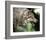 Stalking Gray Wolf-Joni Johnson-Godsy-Framed Giclee Print