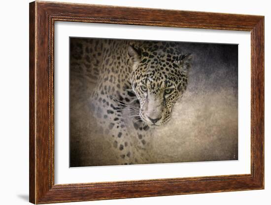 Stalking Her Prey Leopard-Jai Johnson-Framed Giclee Print