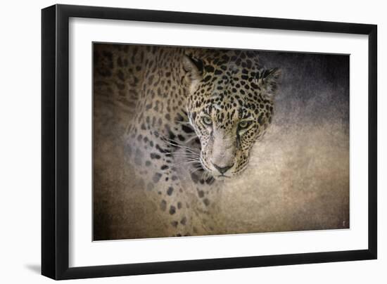 Stalking Her Prey Leopard-Jai Johnson-Framed Giclee Print