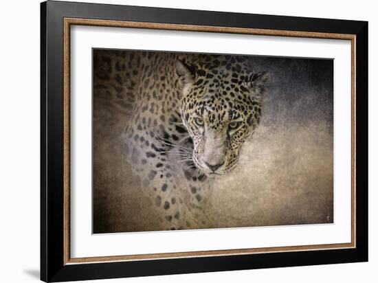 Stalking Her Prey Leopard-Jai Johnson-Framed Giclee Print