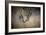 Stalking Her Prey Leopard-Jai Johnson-Framed Giclee Print