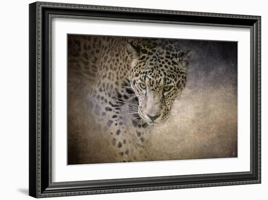 Stalking Her Prey Leopard-Jai Johnson-Framed Giclee Print