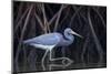 Stalking in the Mangroves-Greg Barsh-Mounted Photographic Print