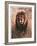 Stalking Lion-Nancy Glazier-Framed Collectable Print