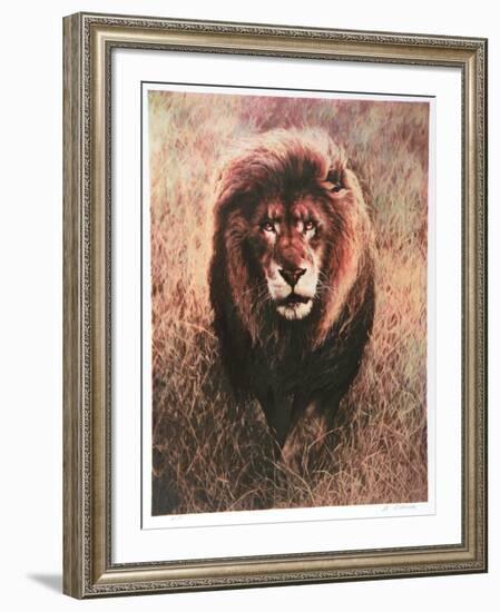 Stalking Lion-Nancy Glazier-Framed Collectable Print