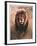 Stalking Lion-Nancy Glazier-Framed Collectable Print