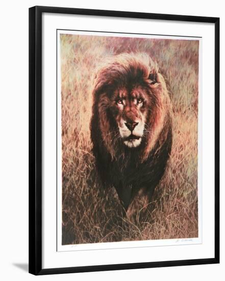 Stalking Lion-Nancy Glazier-Framed Collectable Print