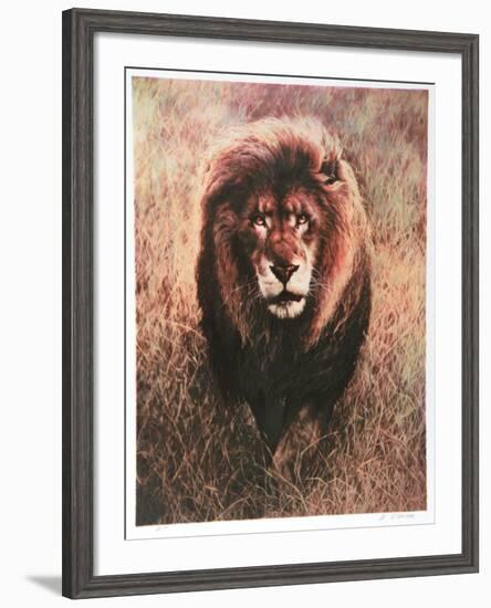 Stalking Lion-Nancy Glazier-Framed Collectable Print