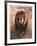 Stalking Lion-Nancy Glazier-Framed Collectable Print