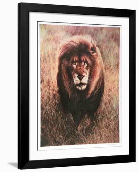 Stalking Lion-Nancy Glazier-Framed Collectable Print