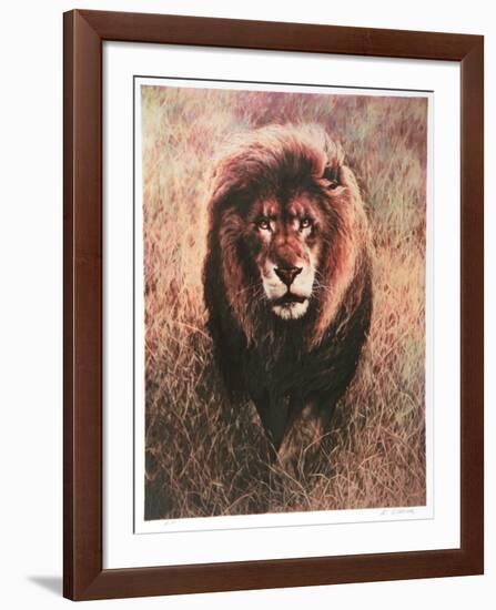 Stalking Lion-Nancy Glazier-Framed Collectable Print