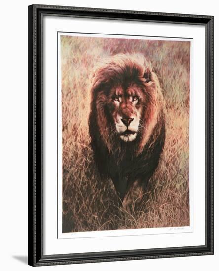 Stalking Lion-Nancy Glazier-Framed Collectable Print