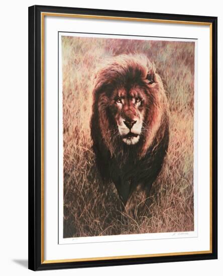 Stalking Lion-Nancy Glazier-Framed Collectable Print