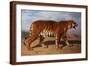 Stalking Tiger-Rosa Bonheur-Framed Giclee Print
