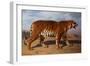 Stalking Tiger-Rosa Bonheur-Framed Giclee Print