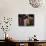 Stall in a Native American Street Market, Santa Fe, New Mexico, USA-Charles Sleicher-Photographic Print displayed on a wall