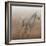 Stallion I on Leather-James Wiens-Framed Art Print