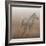 Stallion I on Leather-James Wiens-Framed Art Print