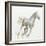 Stallion I-James Wiens-Framed Art Print