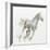 Stallion I-James Wiens-Framed Art Print
