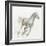 Stallion I-James Wiens-Framed Art Print