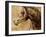 Stallion I-Anna Polanski-Framed Art Print