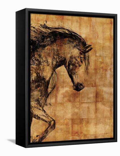 Stallion I-Anna Polanski-Framed Stretched Canvas