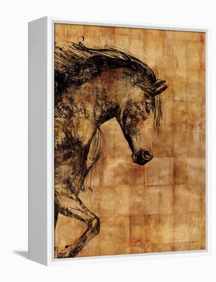 Stallion I-Anna Polanski-Framed Stretched Canvas