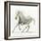 Stallion II-James Wiens-Framed Art Print