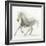 Stallion II-James Wiens-Framed Art Print