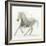 Stallion II-James Wiens-Framed Art Print