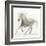 Stallion II-James Wiens-Framed Art Print