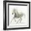 Stallion II-James Wiens-Framed Art Print