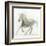 Stallion II-James Wiens-Framed Art Print