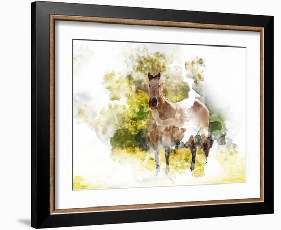 Stallion II-Chamira Young-Framed Art Print