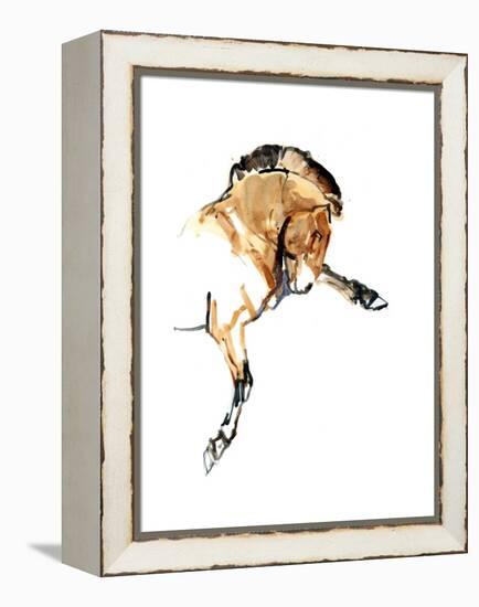 Stallion (Przewalski), 2013-Mark Adlington-Framed Premier Image Canvas