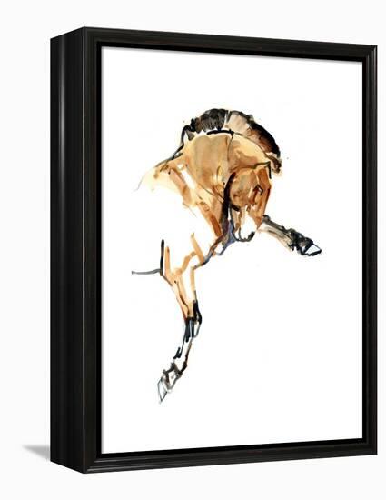 Stallion (Przewalski), 2013-Mark Adlington-Framed Premier Image Canvas