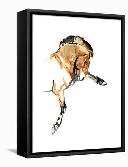 Stallion (Przewalski), 2013-Mark Adlington-Framed Premier Image Canvas