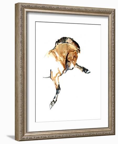 Stallion (Przewalski), 2013-Mark Adlington-Framed Giclee Print