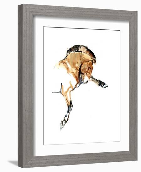 Stallion (Przewalski), 2013-Mark Adlington-Framed Giclee Print