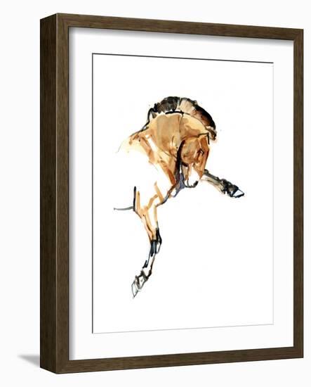 Stallion (Przewalski), 2013-Mark Adlington-Framed Giclee Print