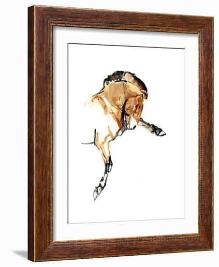 Stallion (Przewalski), 2013-Mark Adlington-Framed Giclee Print