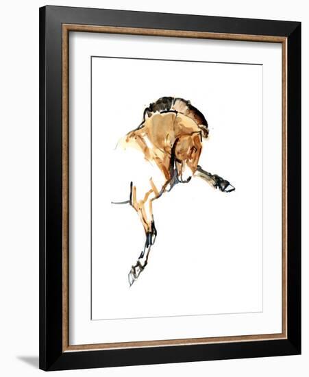 Stallion (Przewalski), 2013-Mark Adlington-Framed Giclee Print