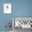 Stallion (Przewalski), 2013-Mark Adlington-Framed Giclee Print displayed on a wall
