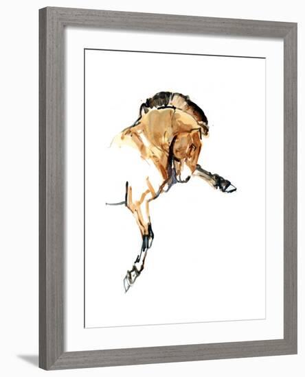 Stallion (Przewalski), 2013-Mark Adlington-Framed Giclee Print