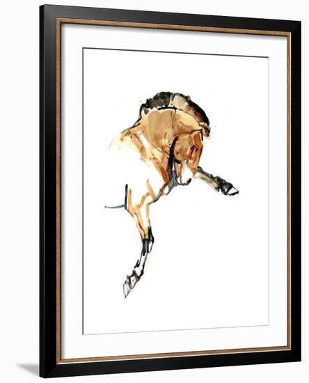 Stallion (Przewalski), 2013-Mark Adlington-Framed Giclee Print