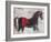 Stallion Strut 1-Julian Dimitrov-Framed Art Print