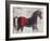 Stallion Strut 1-Julian Dimitrov-Framed Art Print